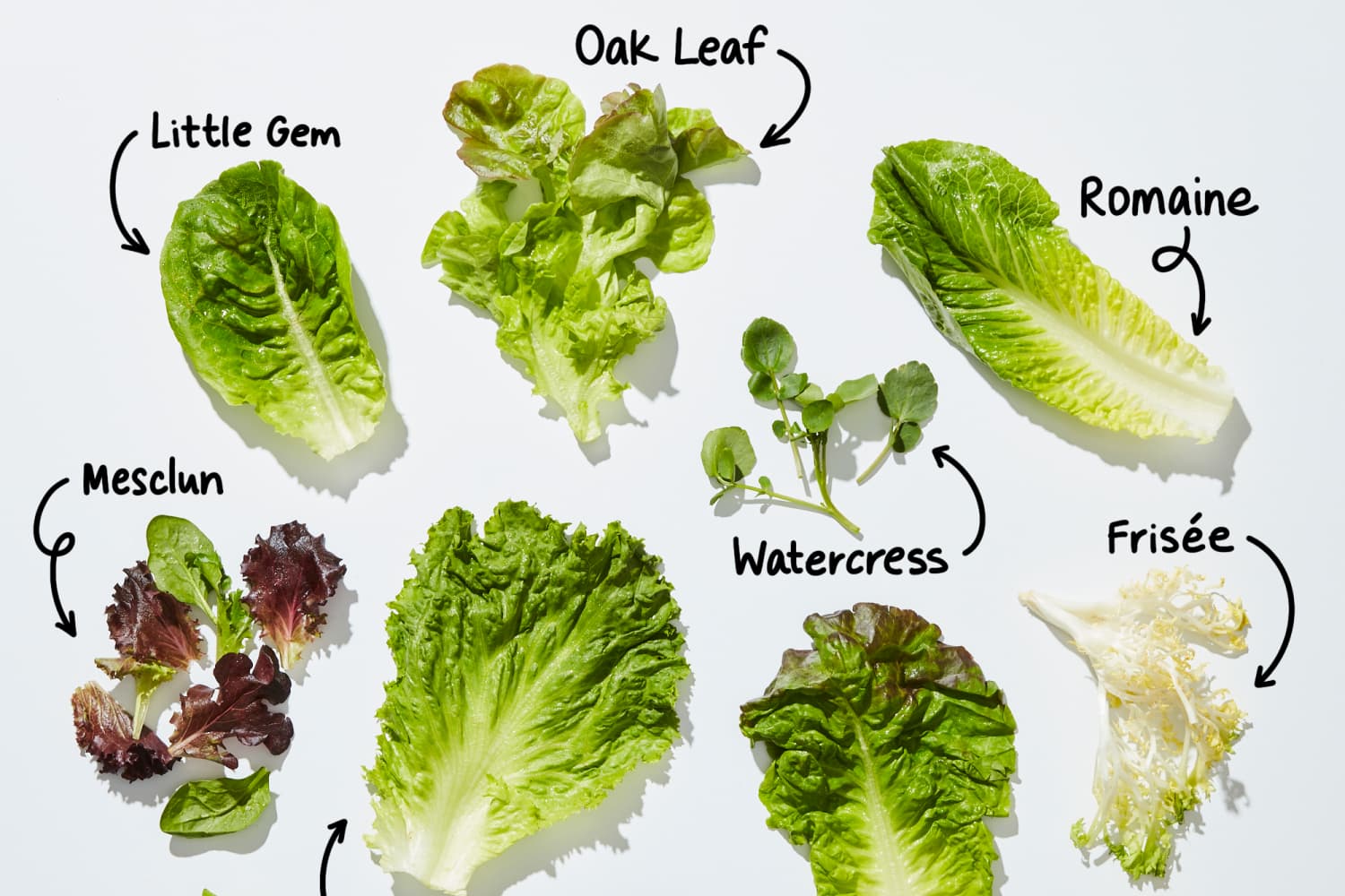 Types of Lettuce A Visual Guide to Salad Greens The Kitchn